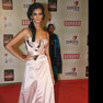 Celebs at 18th Annual Colors Screen Awards
